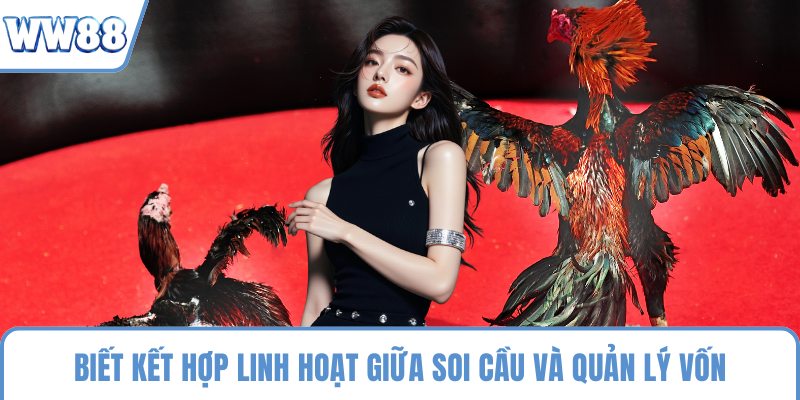 Biết kết hợp linh hoạt giữa soi cầu và quản lý vốn