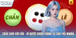 Cách chơi xóc đĩa