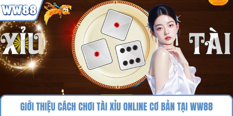 Giới thiệu cách chơi tài xỉu online cơ bản tại WW88