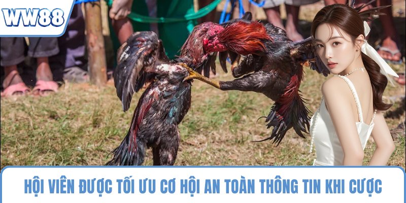 Hội viên được tối ưu cơ hội an toàn thông tin khi cược