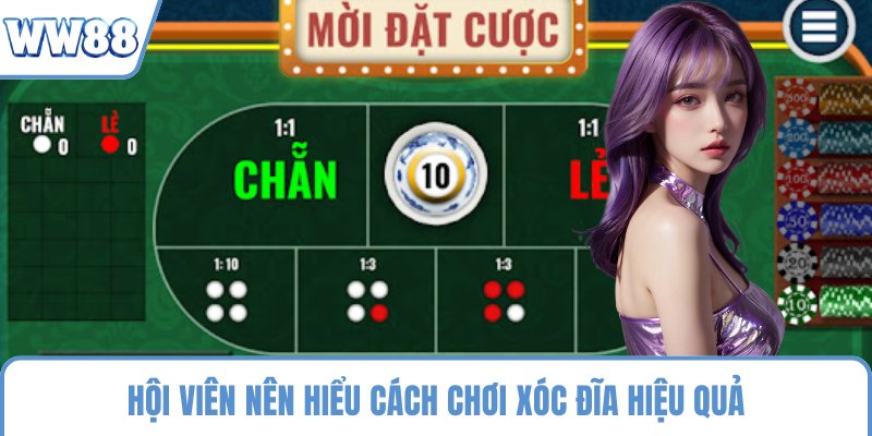 Hội viên nên hiểu cách chơi xóc đĩa hiệu quả