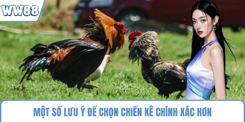 Một số lưu ý để chọn chiến kê chính xác hơn