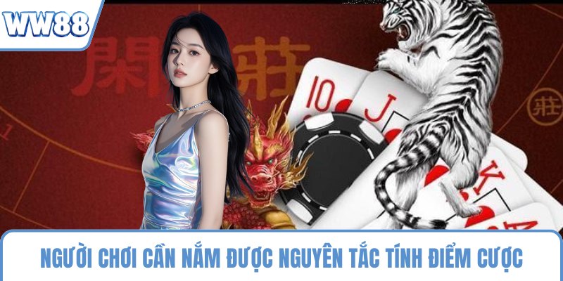 Người chơi cần nắm được nguyên tắc tính điểm cược rồng hổ