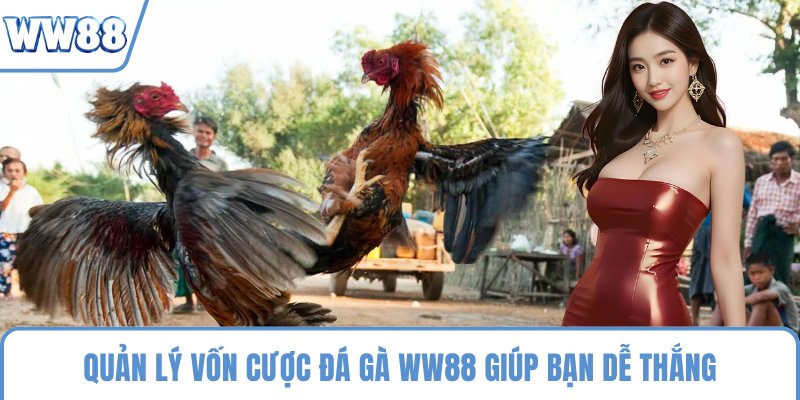 Quản lý vốn cược Đá Gà WW88 giúp bạn dễ thắng