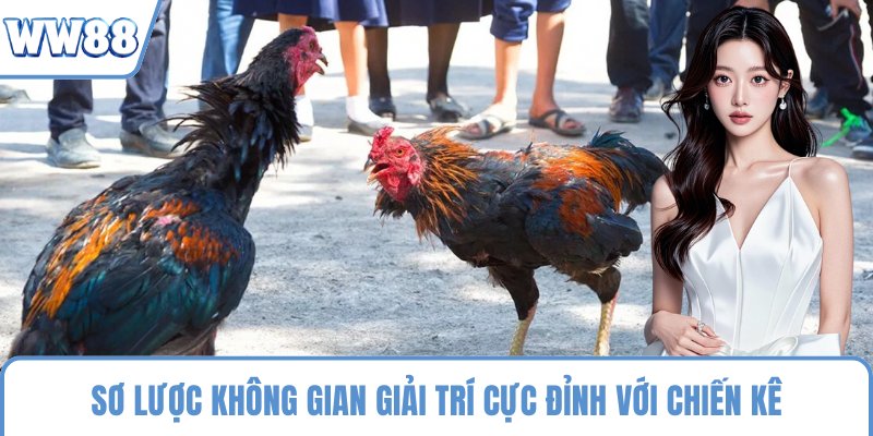 Sơ lược không gian giải trí cực đỉnh với chiến kê