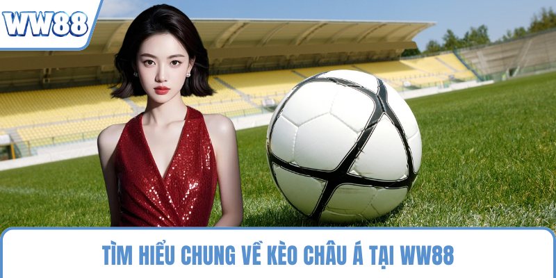 Tìm hiểu chung về kèo châu Á tại WW88